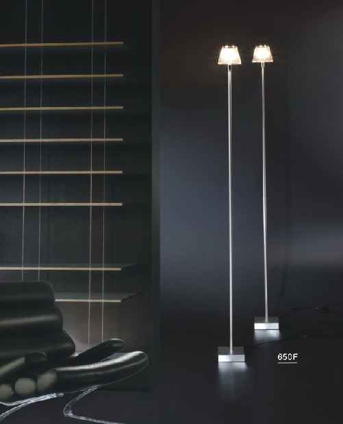 Contemporary Clear Shade Designer Floor Lamps (650F1)