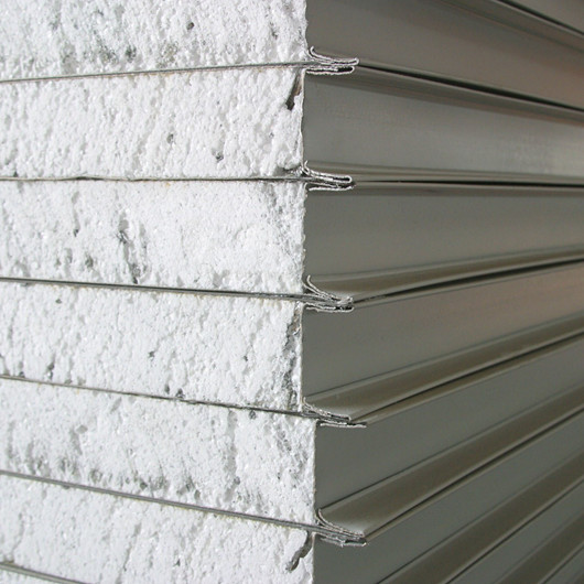 Foam Sandwich Panel for Wall /Roofing