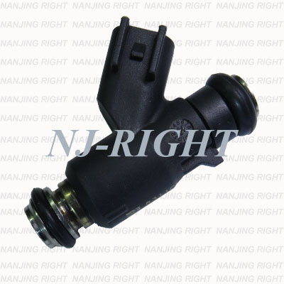 Auto Parts of Delphi Fuel Injection Device/Nozzel for Chevrolet (12588610)