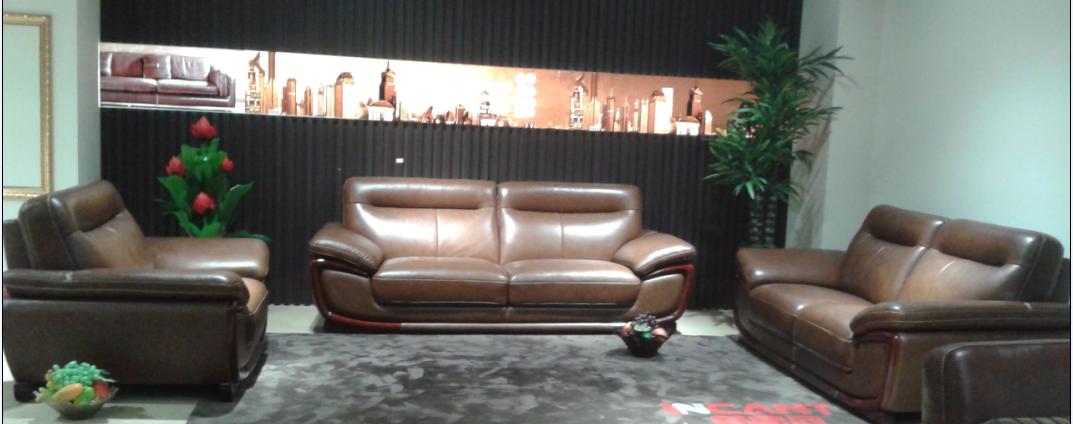 Classic Furniture Leather Sofa Set in Living Room (N856)