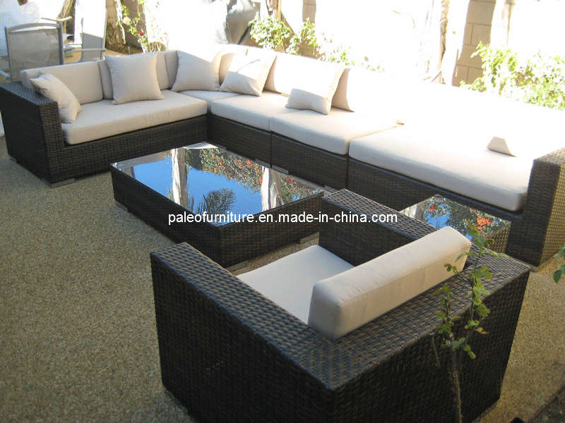 Garden Outdoor Wicker Furniture Patio Rattan Sofa (PAS-062)