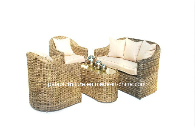 Garden Patio Wicker Rattan Outdoor Sofa (PAS-1130)