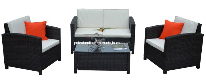 Modern Garden Rattan Furniture Patio Leisure Wicker Sofa Set (PAS-061)