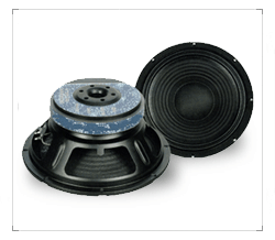 PA Woofer Speaker (RF603P)