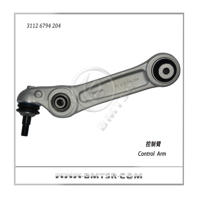 Professional Manufacturer Auto Control Arm for BMW F10/F11