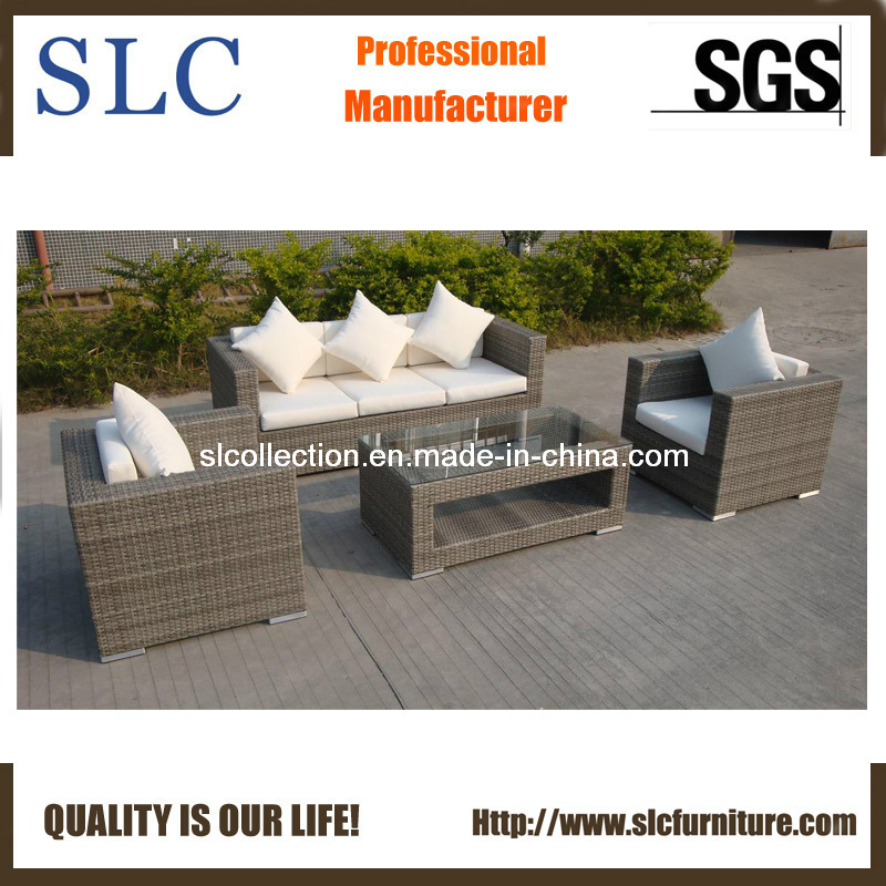 Wicker Outdoor Furniture/New Design Rattan Sofa Set/ Sofa Furniture (SC-B8219)